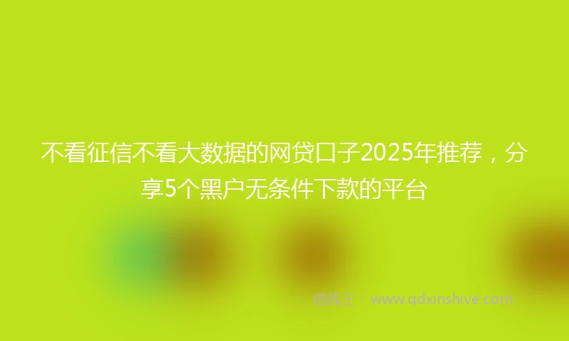 不看征信不看大数据的网贷口子2025年推荐，分享5个黑户无条件下款的平台