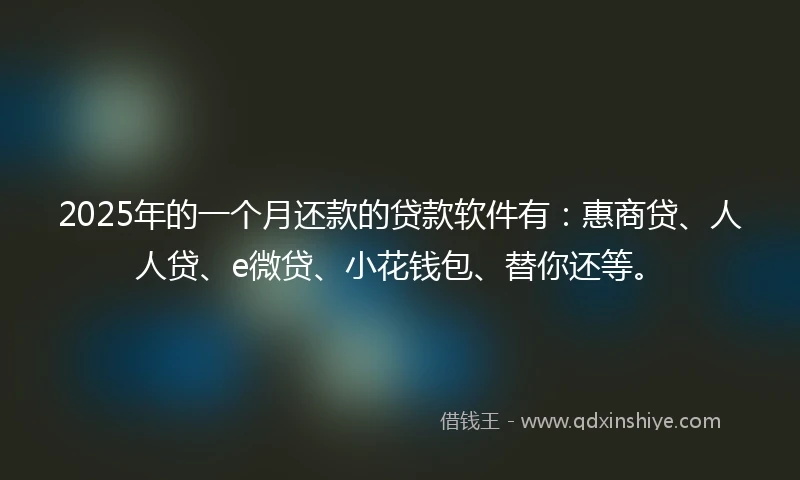 2025年的一个月还款的贷款软件有：惠商贷、人人贷、e微贷、小花钱包、替你还等。