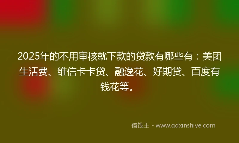 2025年的不用审核就下款的贷款有哪些有：美团生活费、维信卡卡贷、融逸花、好期贷、百度有钱花等。