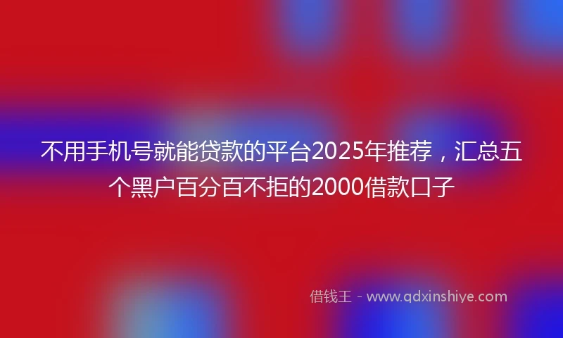 不用手机号就能贷款的平台2025年推荐，汇总五个黑户百分百不拒的2000借款口子