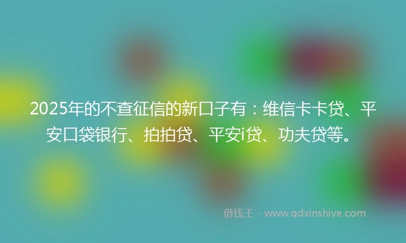 2025年的不查征信的新口子有：维信卡卡贷、平安口袋银行、拍拍贷、平安i贷、功夫贷等。
