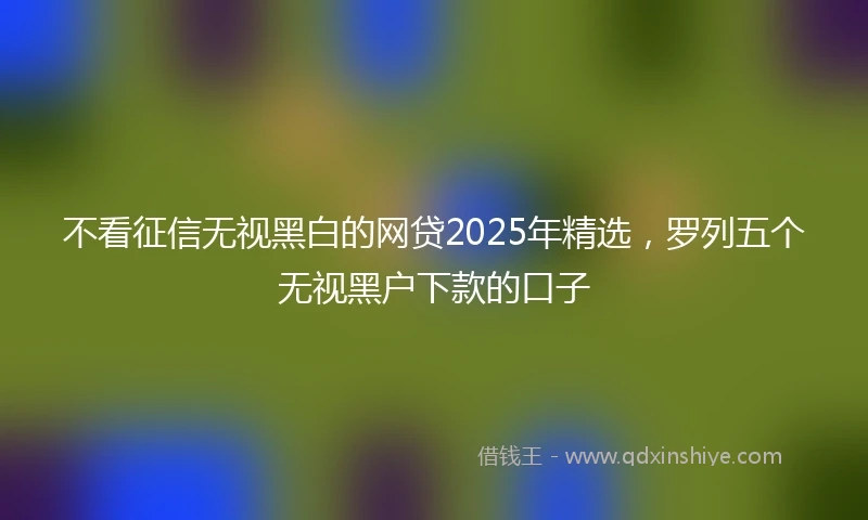 不看征信无视黑白的网贷2025年精选，罗列五个无视黑户下款的口子