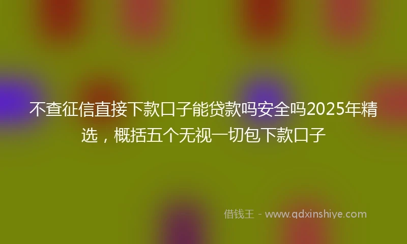 不查征信直接下款口子能贷款吗安全吗2025年精选，概括五个无视一切包下款口子