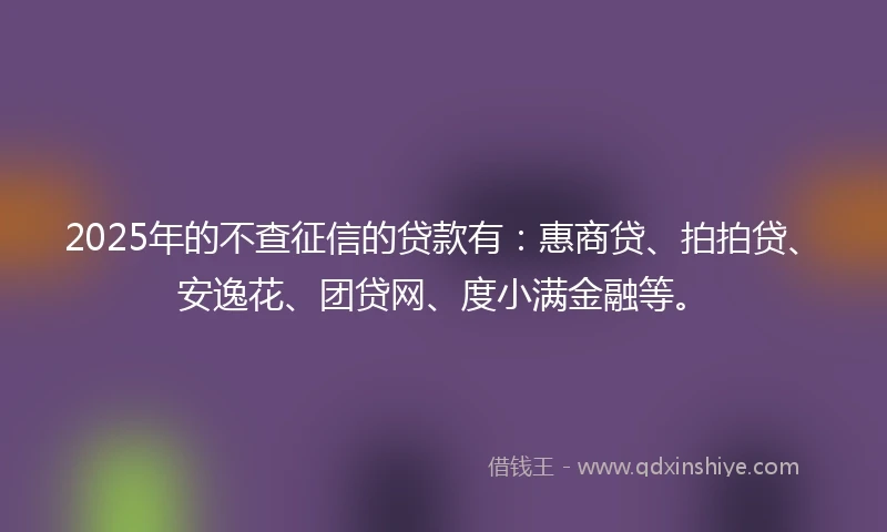 2025年的不查征信的贷款有：惠商贷、拍拍贷、安逸花、团贷网、度小满金融等。