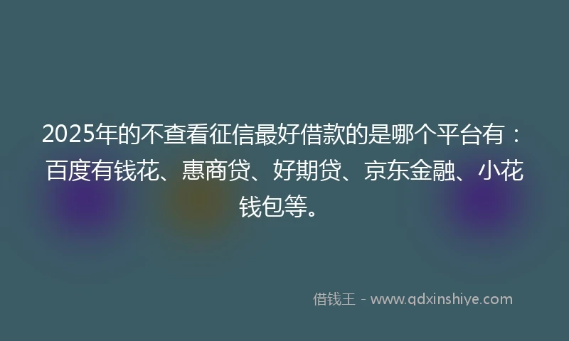 2025年的不查看征信最好借款的是哪个平台有：百度有钱花、惠商贷、好期贷、京东金融、小花钱包等。