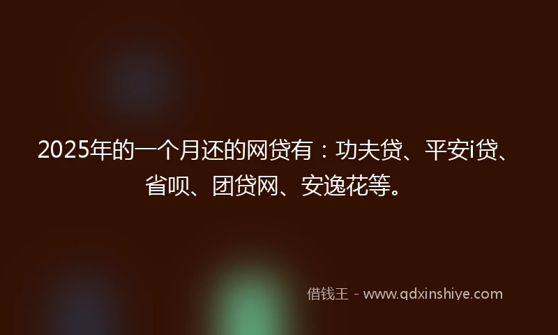 2025年的一个月还的网贷有：功夫贷、平安i贷、省呗、团贷网、安逸花等。