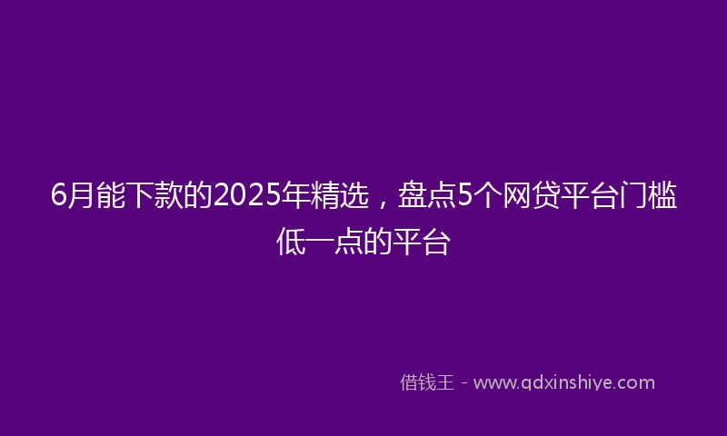 6月能下款的2025年精选,盘点5个网贷平台门槛低一点的平台