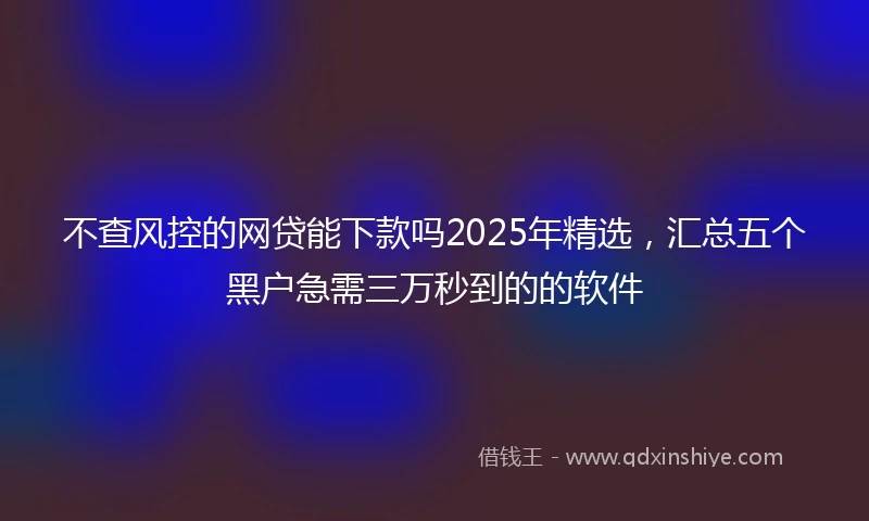 不查风控的网贷能下款吗2025年精选，汇总五个黑户急需三万秒到的的软件