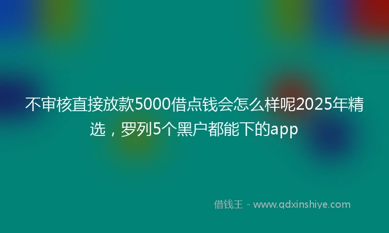 不审核直接放款5000借点钱会怎么样呢2025年精选,罗列5个黑户都能下的app