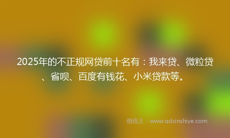 2025年的不正规网贷前十名有：我来贷、微粒贷、省呗、百度有钱花、小米贷款等。