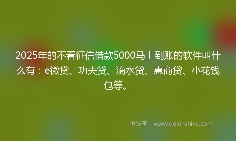 2025年的不看征信借款5000马上到账的软件叫什么有:e微贷、功夫贷、滴水贷、惠商贷、小花钱包等。