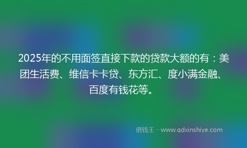 2025年的不用面签直接下款的贷款大额的有：美团生活费、维信卡卡贷、东方汇、度小满金融、百度有钱花等。