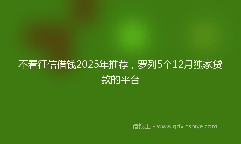不看征信借钱2025年推荐，罗列5个12月独家贷款的平台