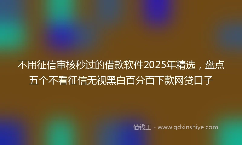 不用征信审核秒过的借款软件2025年精选，盘点五个不看征信无视黑白百分百下款网贷口子