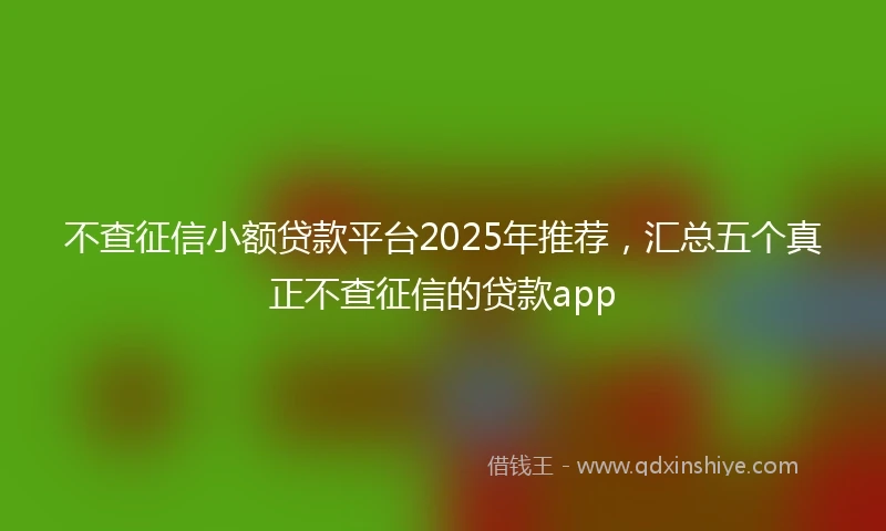 不查征信小额贷款平台2025年推荐，汇总五个真正不查征信的贷款app
