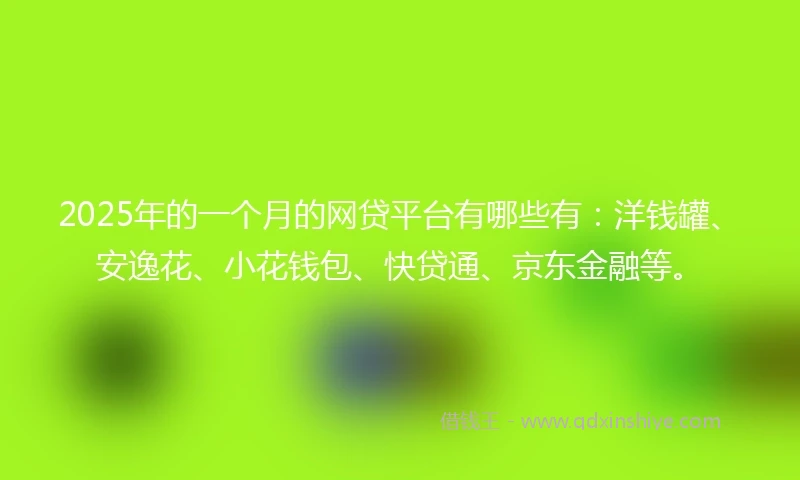 2025年的一个月的网贷平台有哪些有：洋钱罐、安逸花、小花钱包、快贷通、京东金融等。