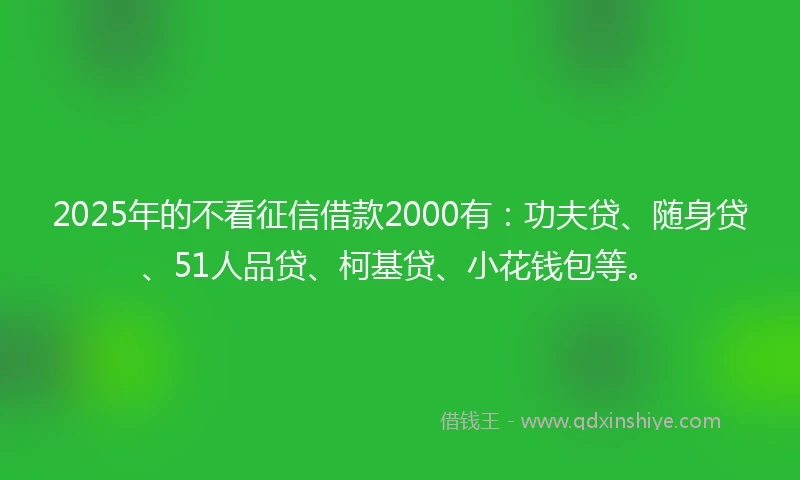 2025年的不看征信借款2000有：功夫贷、随身贷、51人品贷、柯基贷、小花钱包等。