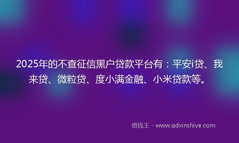 2025年的不查征信黑户贷款平台有：平安i贷、我来贷、微粒贷、度小满金融、小米贷款等。