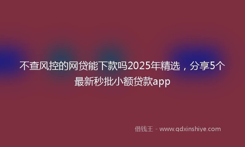 不查风控的网贷能下款吗2025年精选，分享5个最新秒批小额贷款app