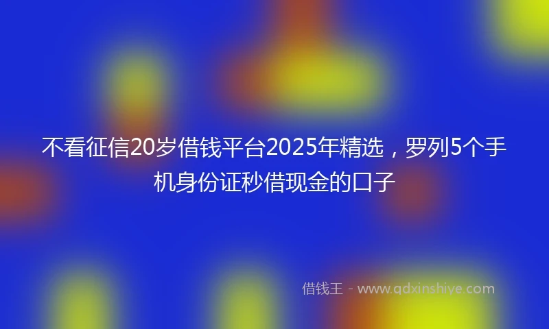 不看征信20岁借钱平台2025年精选，罗列5个手机身份证秒借现金的口子
