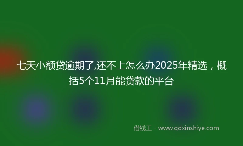 七天小额贷逾期了,还不上怎么办2025年精选，概括5个11月能贷款的平台
