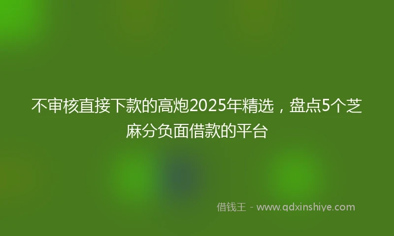 不审核直接下款的高炮2025年精选，盘点5个芝麻分负面借款的平台