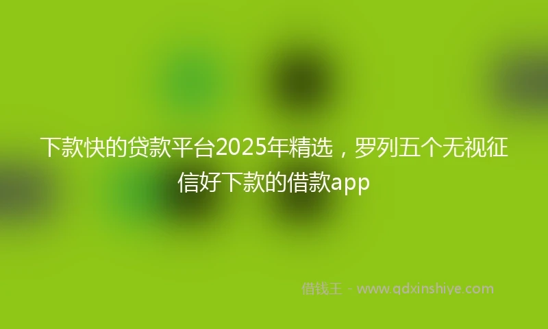 下款快的贷款平台2025年精选，罗列五个无视征信好下款的借款app