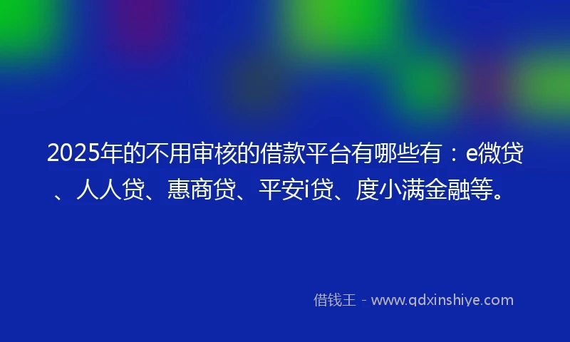 2025年的不用审核的借款平台有哪些有：e微贷、人人贷、惠商贷、平安i贷、度小满金融等。