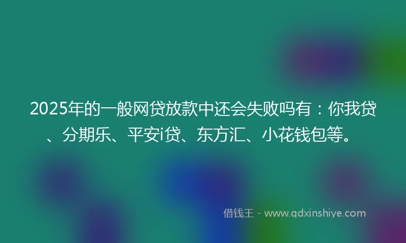 2025年的一般网贷放款中还会失败吗有：你我贷、分期乐、平安i贷、东方汇、小花钱包等。