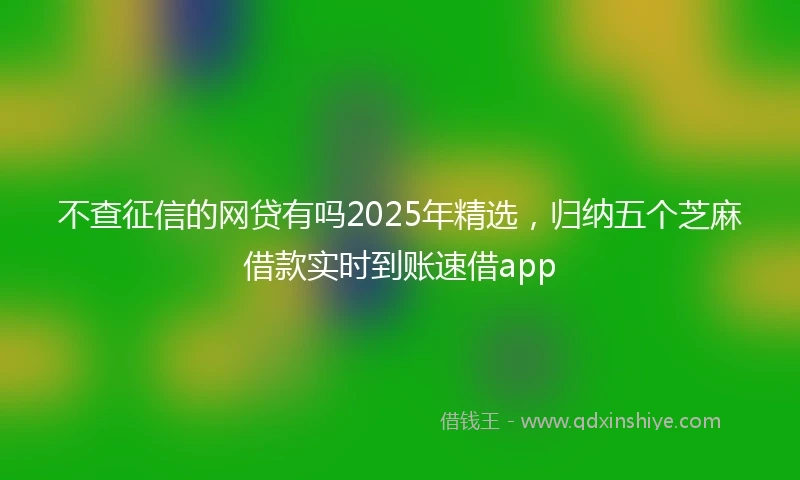 不查征信的网贷有吗2025年精选，归纳五个芝麻借款实时到账速借app