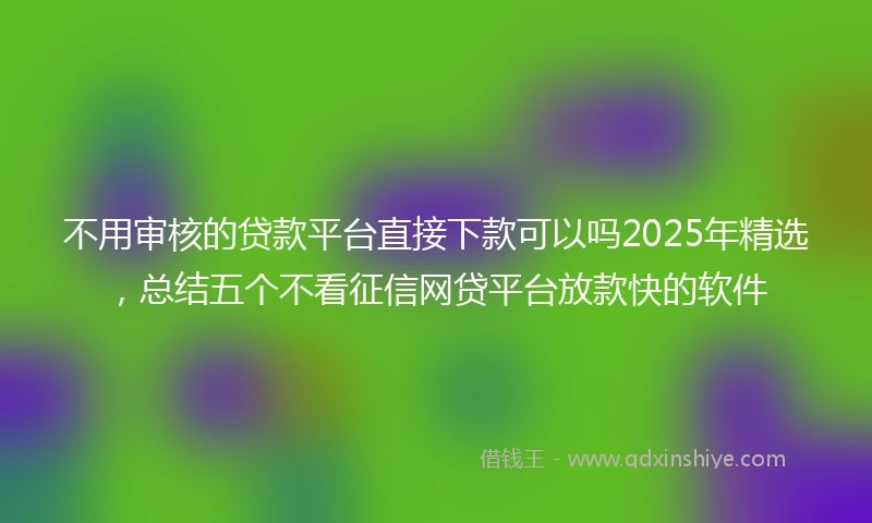 不用审核的贷款平台直接下款可以吗2025年精选，总结五个不看征信网贷平台放款快的软件