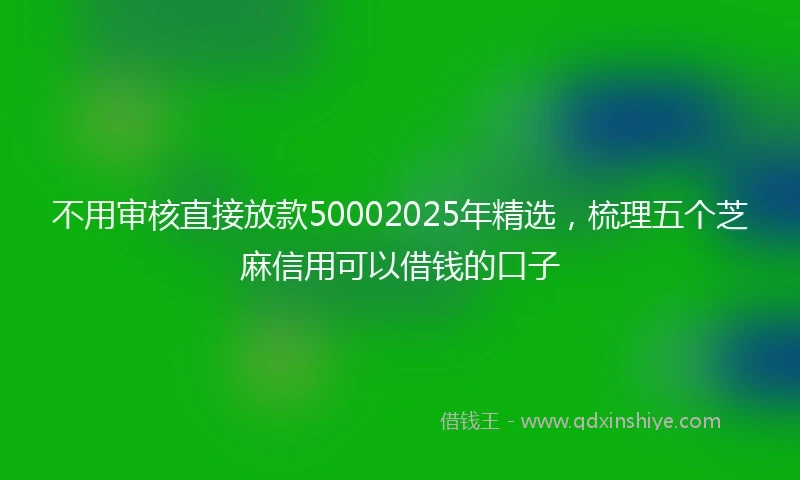 不用审核直接放款50002025年精选，梳理五个芝麻信用可以借钱的口子