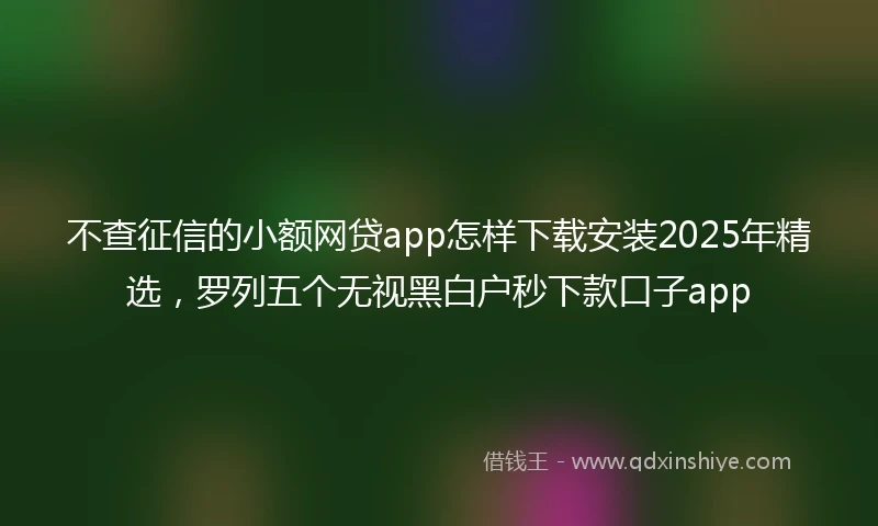 不查征信的小额网贷app怎样下载安装2025年精选，罗列五个无视黑白户秒下款口子app