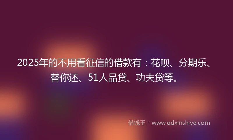 2025年的不用看征信的借款有：花呗、分期乐、替你还、51人品贷、功夫贷等。