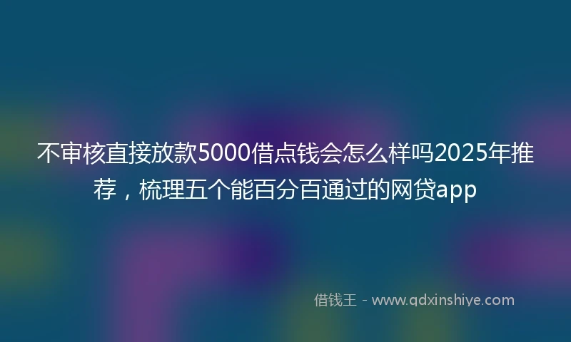 不审核直接放款5000借点钱会怎么样吗2025年推荐，梳理五个能百分百通过的网贷app