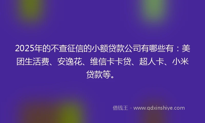 2025年的不查征信的小额贷款公司有哪些有：美团生活费、安逸花、维信卡卡贷、超人卡、小米贷款等。
