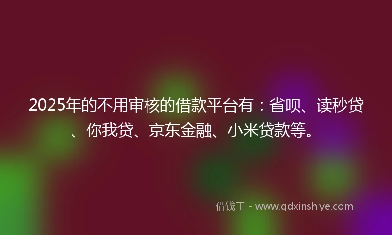 2025年的不用审核的借款平台有：省呗、读秒贷、你我贷、京东金融、小米贷款等。
