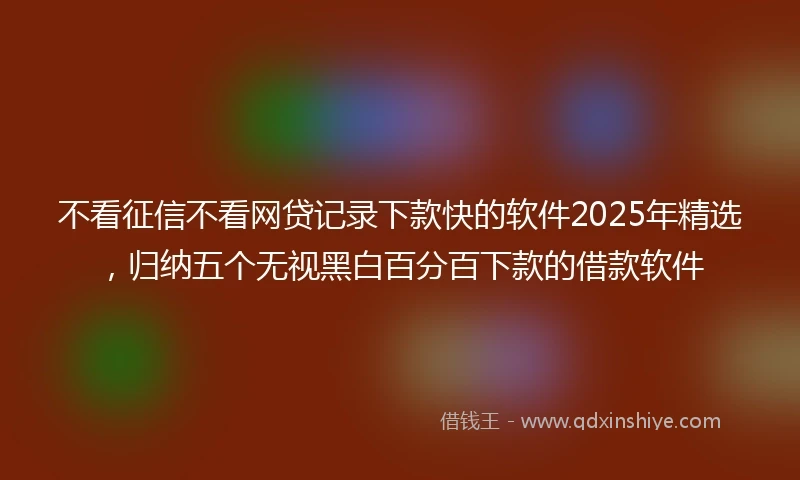 不看征信不看网贷记录下款快的软件2025年精选，归纳五个无视黑白百分百下款的借款软件