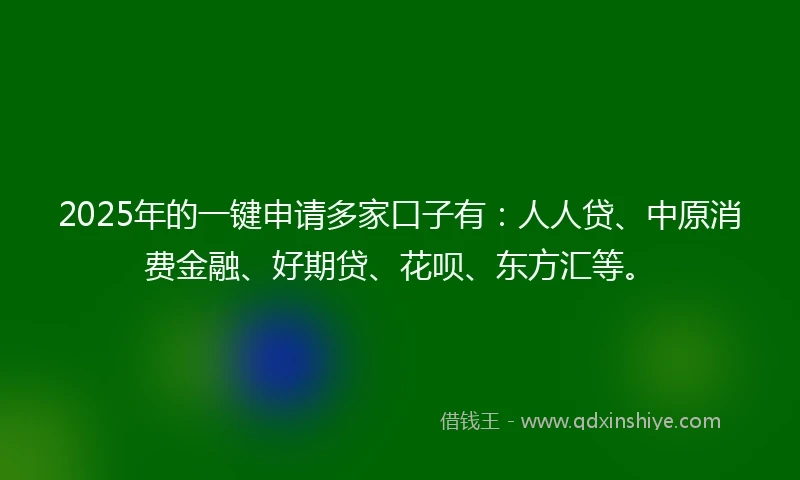 2025年的一键申请多家口子有：人人贷、中原消费金融、好期贷、花呗、东方汇等。