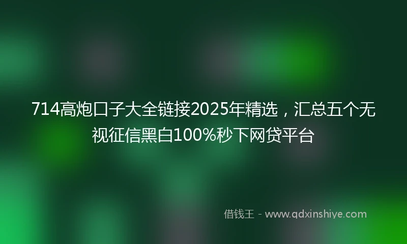 714高炮口子大全链接2025年精选，汇总五个无视征信黑白100%秒下网贷平台