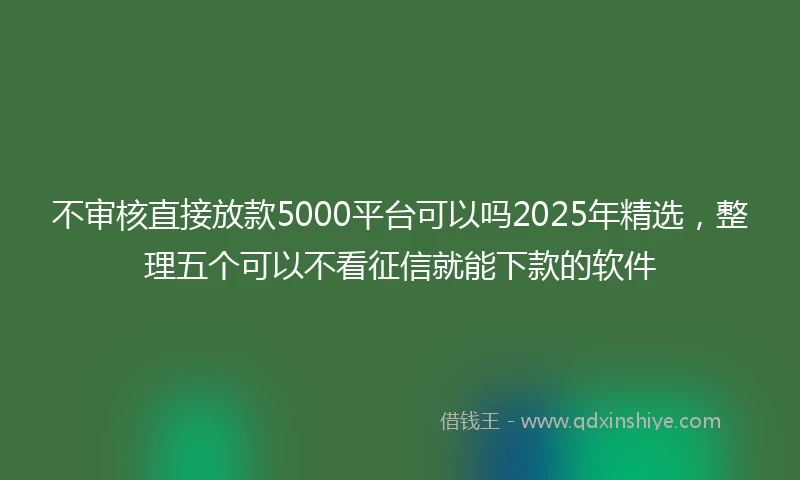 不审核直接放款5000平台可以吗2025年精选，整理五个可以不看征信就能下款的软件