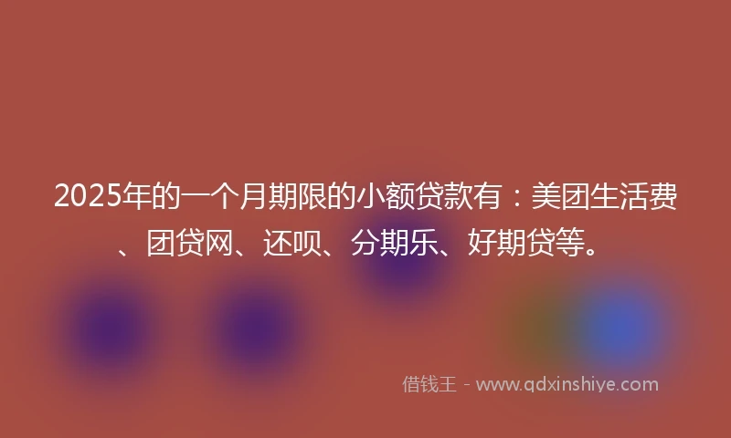 2025年的一个月期限的小额贷款有：美团生活费、团贷网、还呗、分期乐、好期贷等。