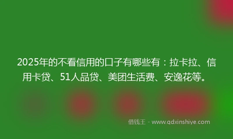 2025年的不看信用的口子有哪些有：拉卡拉、信用卡贷、51人品贷、美团生活费、安逸花等。