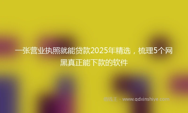 一张营业执照就能贷款2025年精选，梳理5个网黑真正能下款的软件