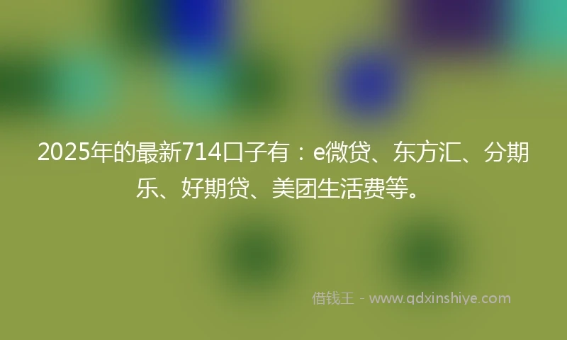 2025年的最新714口子有：e微贷、东方汇、分期乐、好期贷、美团生活费等。