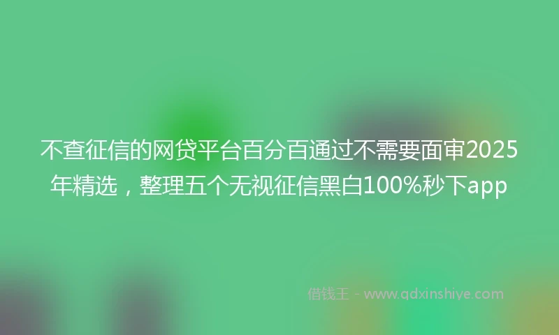 不查征信的网贷平台百分百通过不需要面审2025年精选，整理五个无视征信黑白100%秒下app