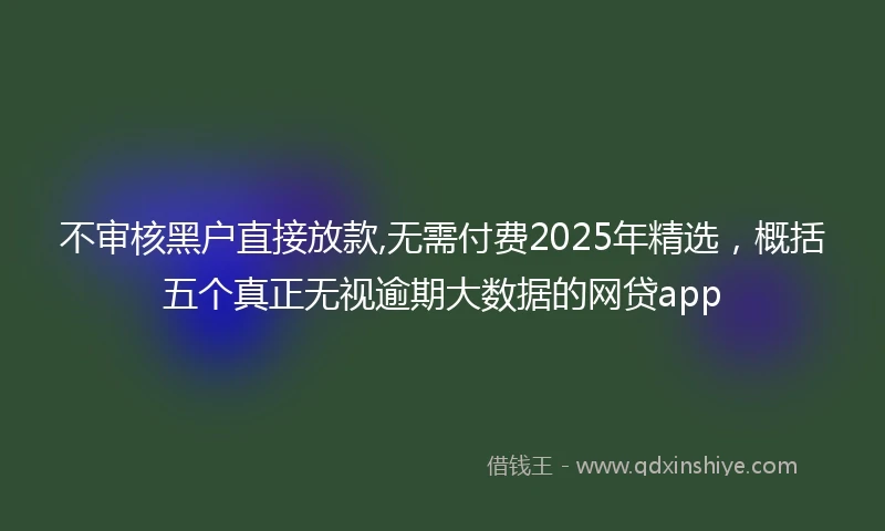 不审核黑户直接放款,无需付费2025年精选，概括五个真正无视逾期大数据的网贷app