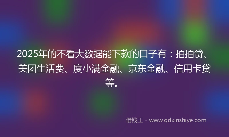 2025年的不看大数据能下款的口子有：拍拍贷、美团生活费、度小满金融、京东金融、信用卡贷等。