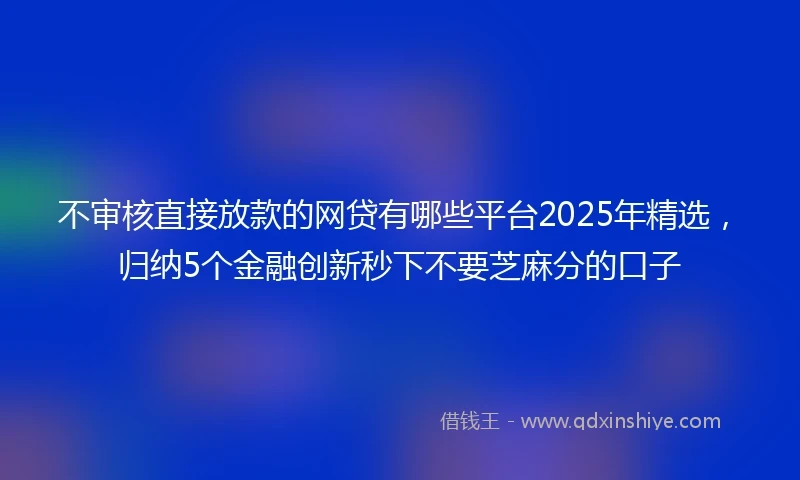 不审核直接放款的网贷有哪些平台2025年精选，归纳5个金融创新秒下不要芝麻分的口子