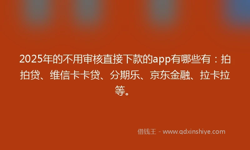 2025年的不用审核直接下款的app有哪些有：拍拍贷、维信卡卡贷、分期乐、京东金融、拉卡拉等。